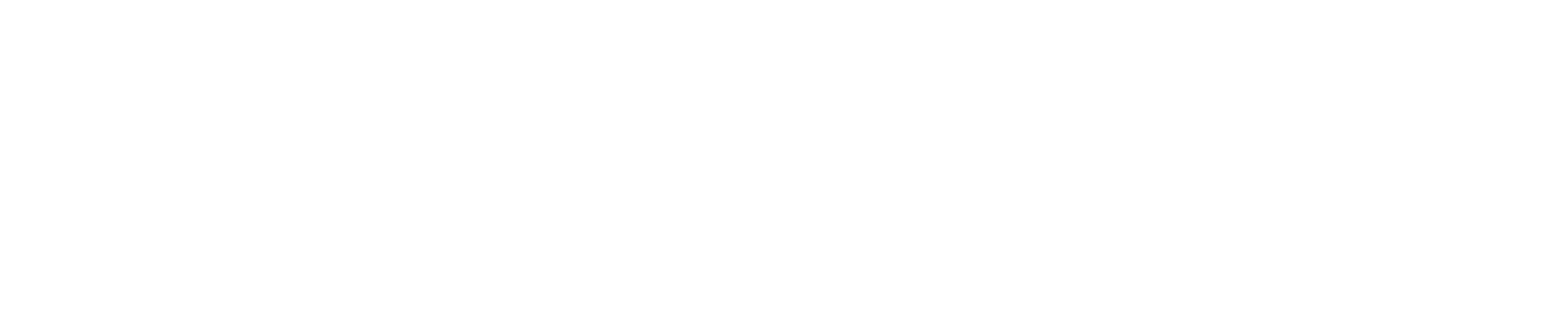 Wiscorowing Logo